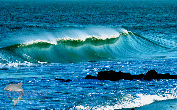 jersey_curl