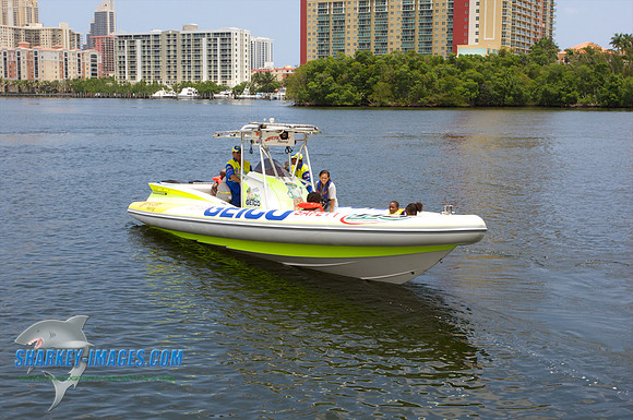 061110_A 101 - Version 2