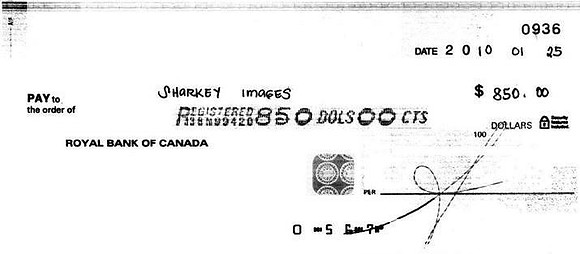 alecs ck  for images (Medium)
