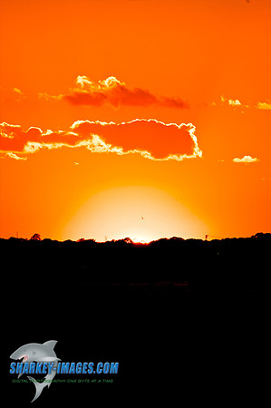 101001 209 - Version 2