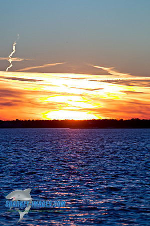 110203A  1484 - Version 2