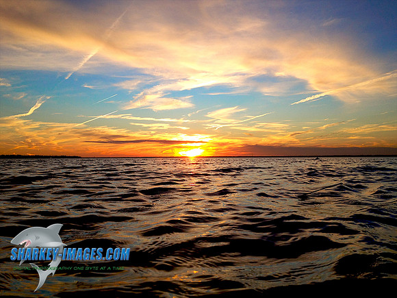 "SUN KISSED" 111230 41 - Version 2