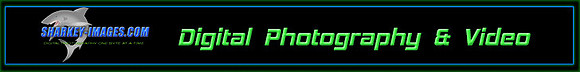 S-I_LOGO-728