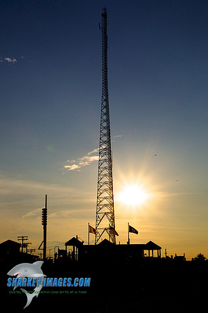 130802A 36