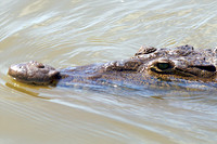 110421 58 - Version 2
