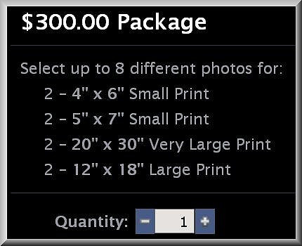 $300 Package