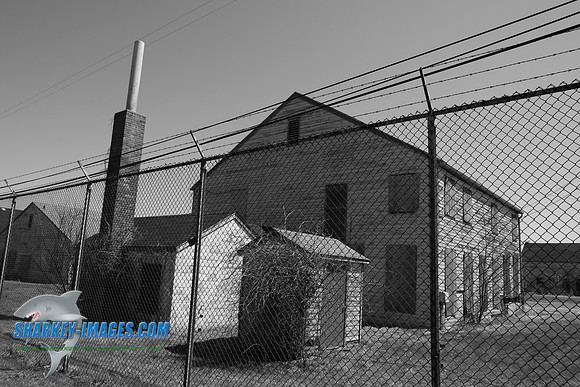 TSI_0050.JPG
