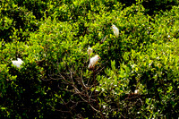 110421 49 - Version 2