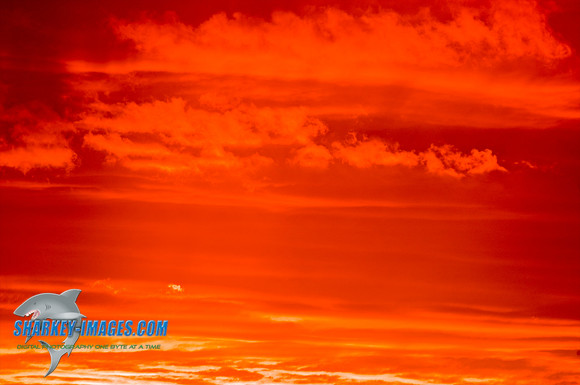 101001 212 - Version 2