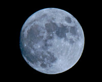 MOON  006 - Version 2.jpg
