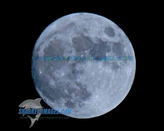 MOON  006 - Version 2.jpg