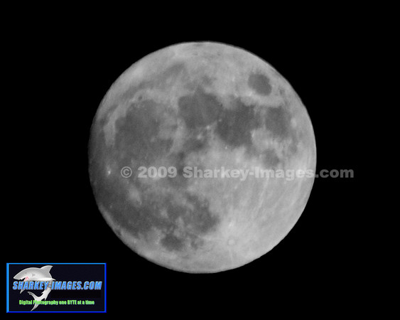 MOON  008 - Version 2.jpg