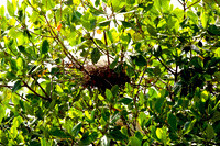 110421 54 - Version 2