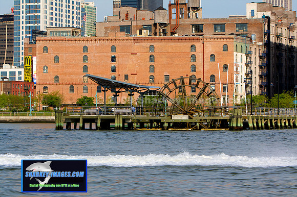 IMG_0225 - Version 2.jpg