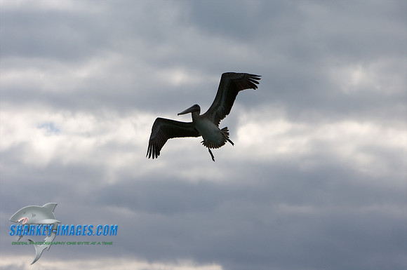 111309R_ 489 - Version 2.jpg