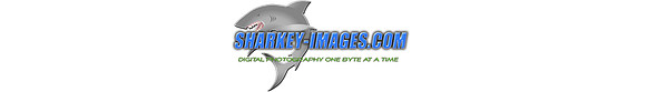 sharkey-images_header