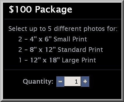 $100 Package