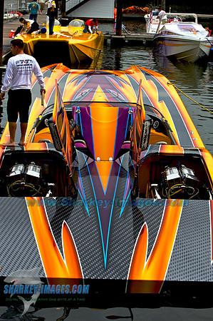062009D 9 - Version 2