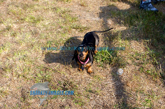 052910_B 353 - Version 2