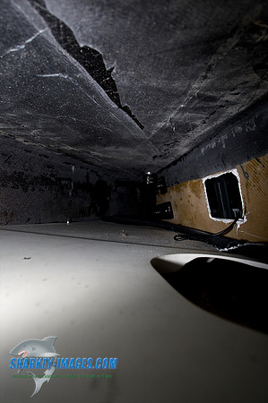 021210_ 262 - Version 2.jpg