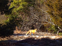 120207 9 - Version 2
