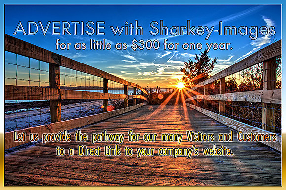 2016 Advertise