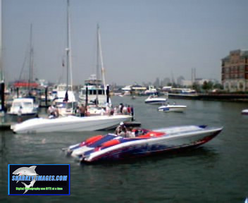 Picture 14.jpg