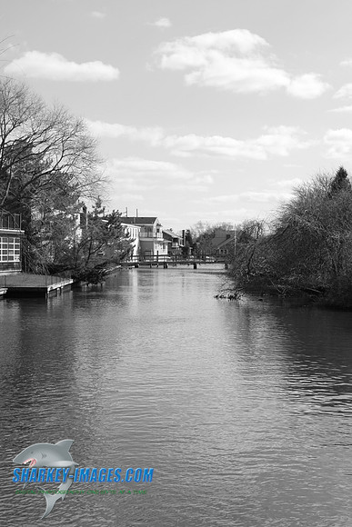 IMG_0266.JPG