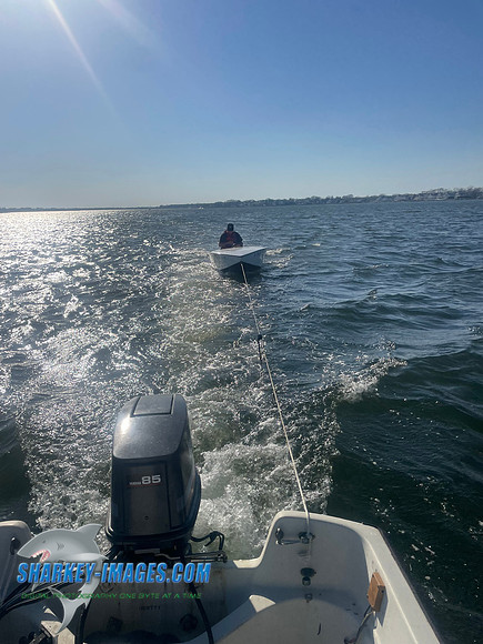 IMG_3088