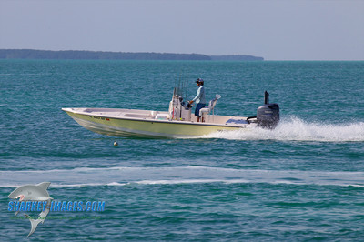 120225B 47 - Version 2