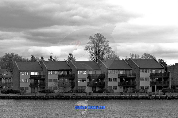 111117 43 - Version 2