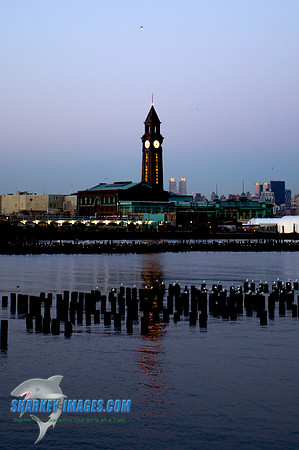 110312B 137 - Version 2