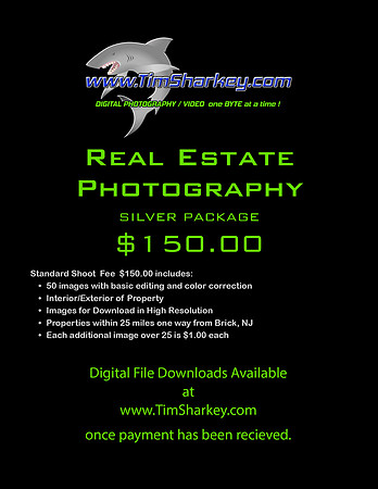 REAL ESTATE 150 SILVER