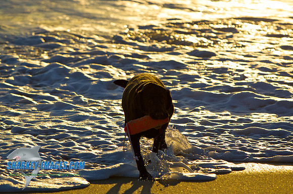 101113 95 - Version 2