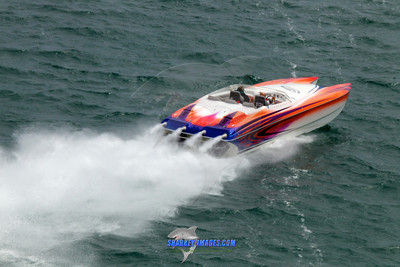 150808D 981