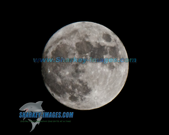MOON  007 - Version 2.jpg