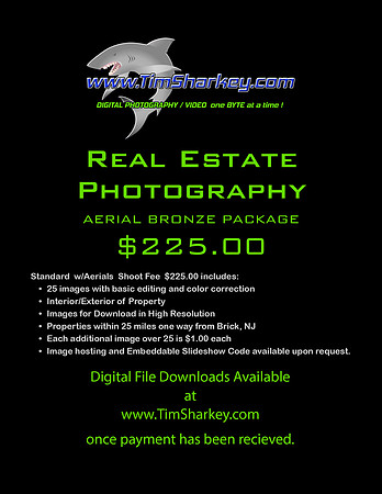 REAL ESTATE 225 AERIAL BRONZE