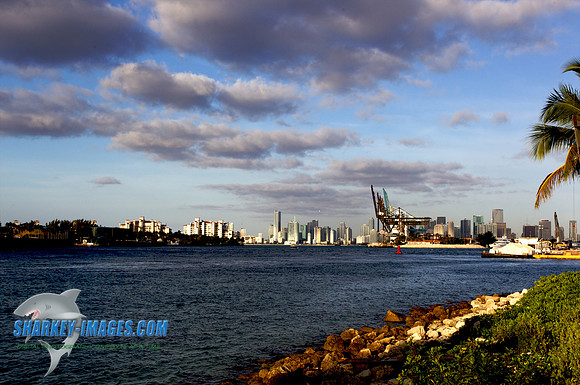120221 43 - Version 2