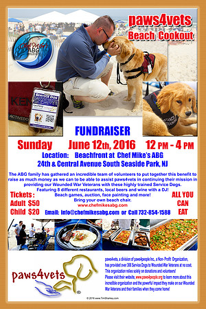PAWS4VETS