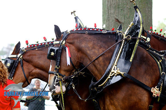 160709 84