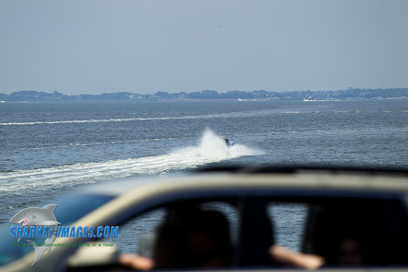 160716A 175