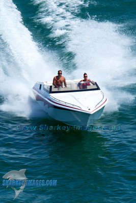 110813C 421 - Version 2