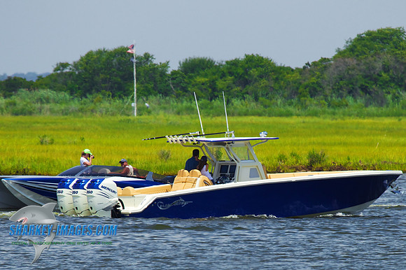 160716A 339 (1)
