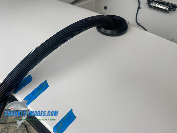 29366E4F-D025-495A-A840-0E8043A1977C