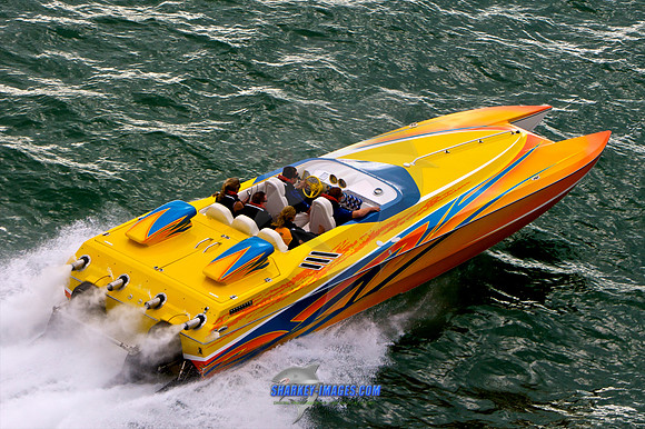 111309A_ 58 - Version 2.jpg