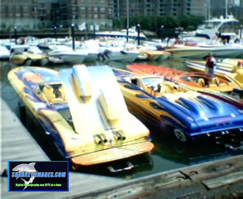 Picture 24.jpg