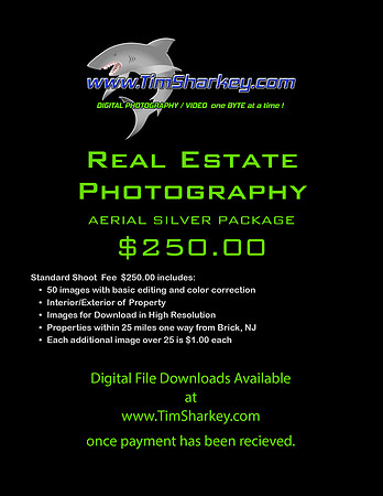 REAL ESTATE 250 AERIAL SILVER