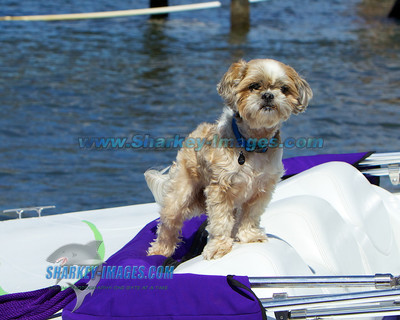 130914 819