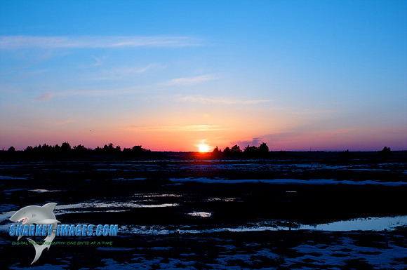 022010_ 9 - Version 2.jpg