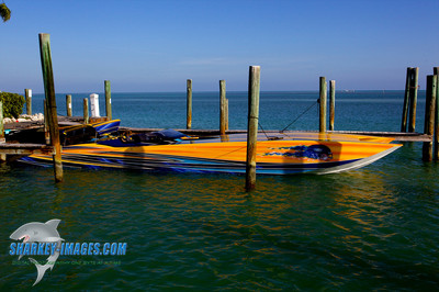 120223C 136 - Version 2